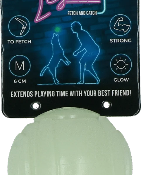 Świecąca w ciemności zabawka dla psa – 2 Glow Fetch & Play