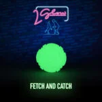 Świecąca w ciemności zabawka dla psa – 2 Glow Fetch & Play - obrazek 2
