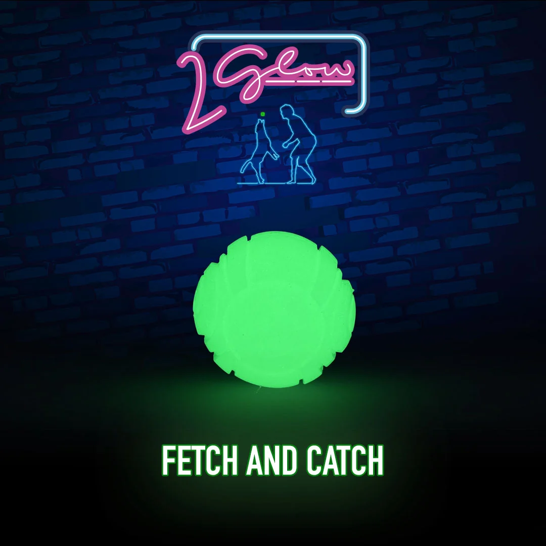 Świecąca w ciemności zabawka dla psa – 2 Glow Fetch & Play - obrazek 2