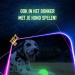 Świecąca w ciemności zabawka dla psa – 2 Glow Fetch & Play - obrazek 4