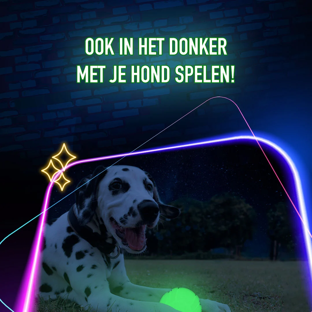 Świecąca w ciemności zabawka dla psa – 2 Glow Fetch & Play - obrazek 4