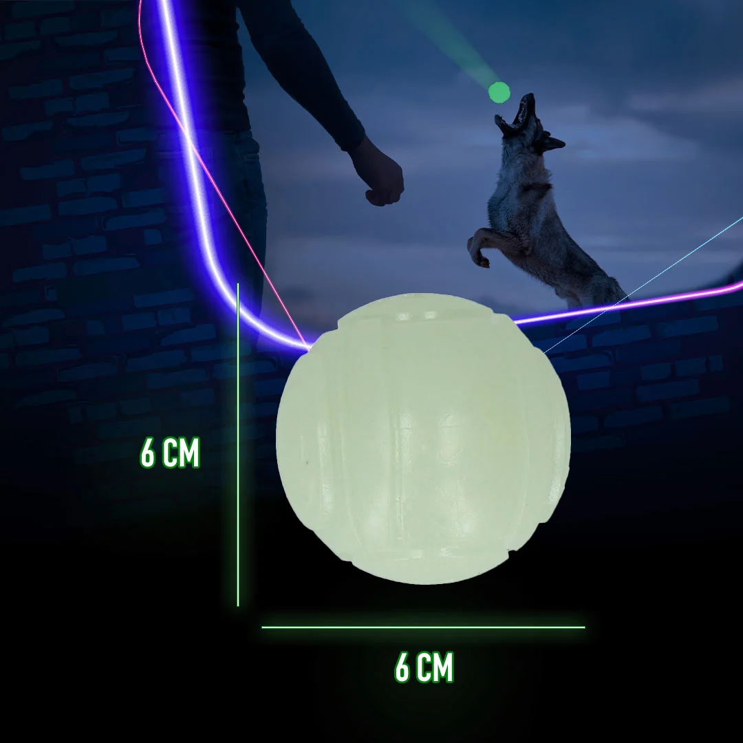 Świecąca w ciemności zabawka dla psa – 2 Glow Fetch & Play - obrazek 6