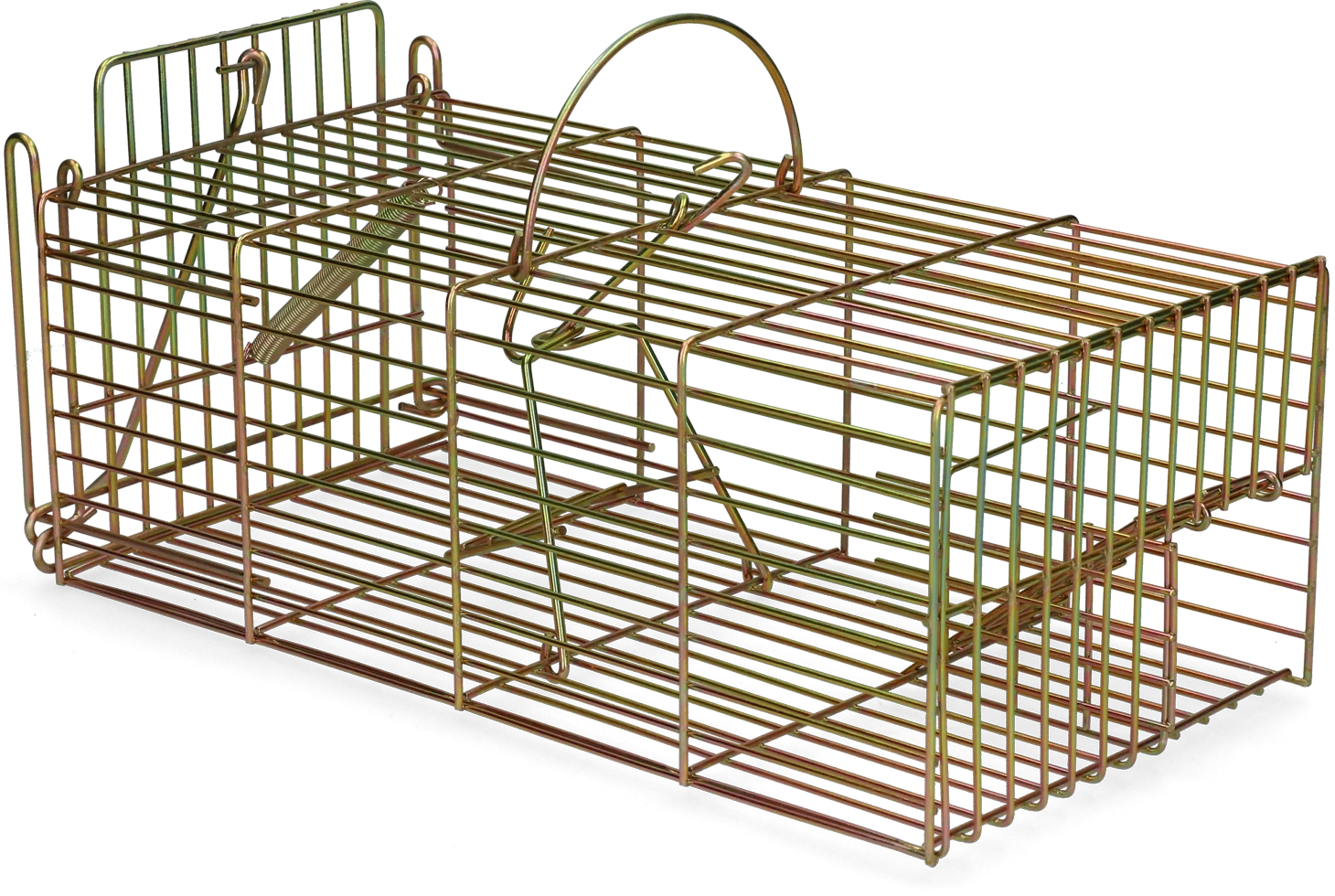 Pułapka żywołowna na szczury, 18 x 36 x 12 cm – Hofman Pest Control - obrazek 2