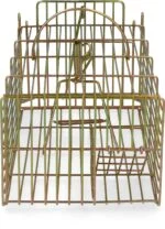 Pułapka żywołowna na szczury, 18 x 36 x 12 cm – Hofman Pest Control