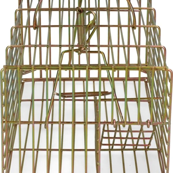 Pułapka żywołowna na szczury, 18 x 36 x 12 cm – Hofman Pest Control
