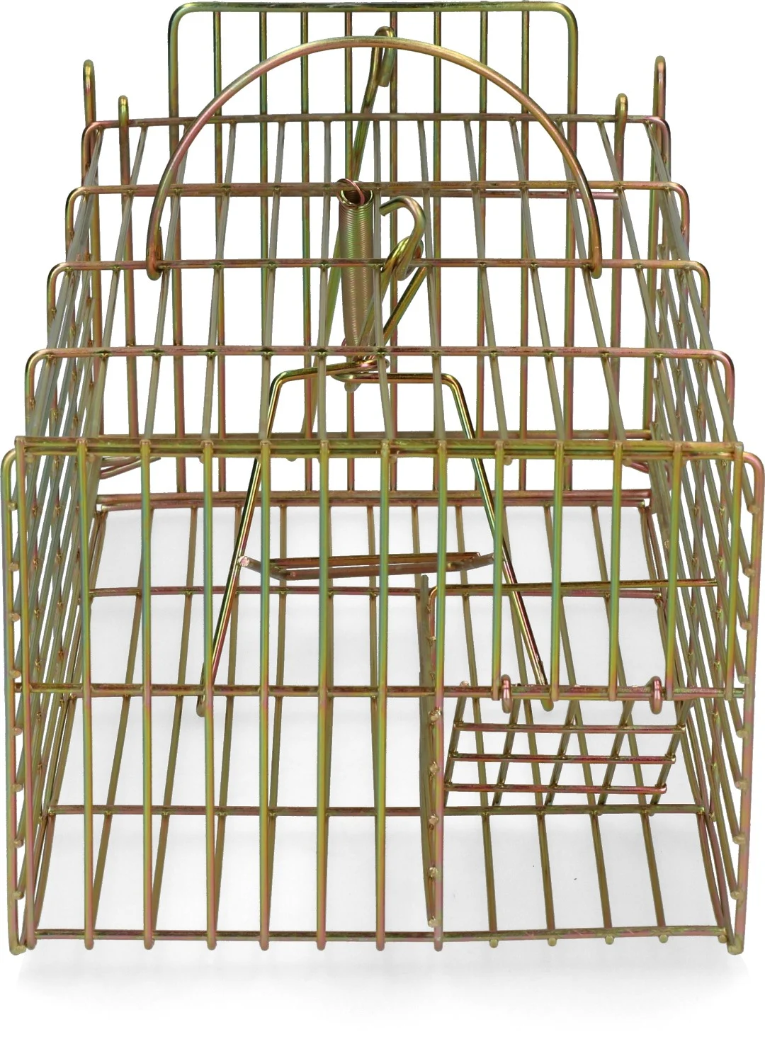 Pułapka żywołowna na szczury, 18 x 36 x 12 cm – Hofman Pest Control - obrazek 1