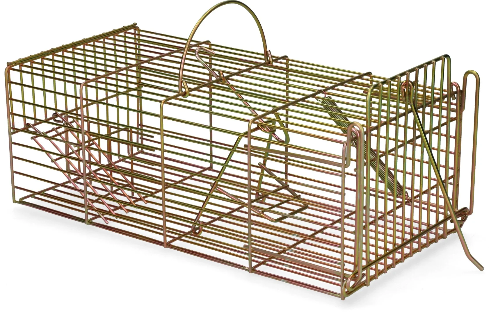 Pułapka żywołowna na szczury, 18 x 36 x 12 cm – Hofman Pest Control - obrazek 3