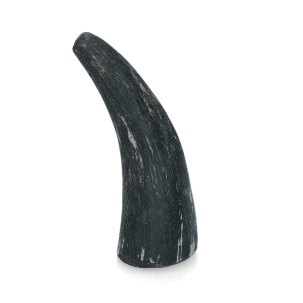 Róg wołowy do gryzienia dla psów o wadze od 1 do 4 kg – Viking Horn Whole S