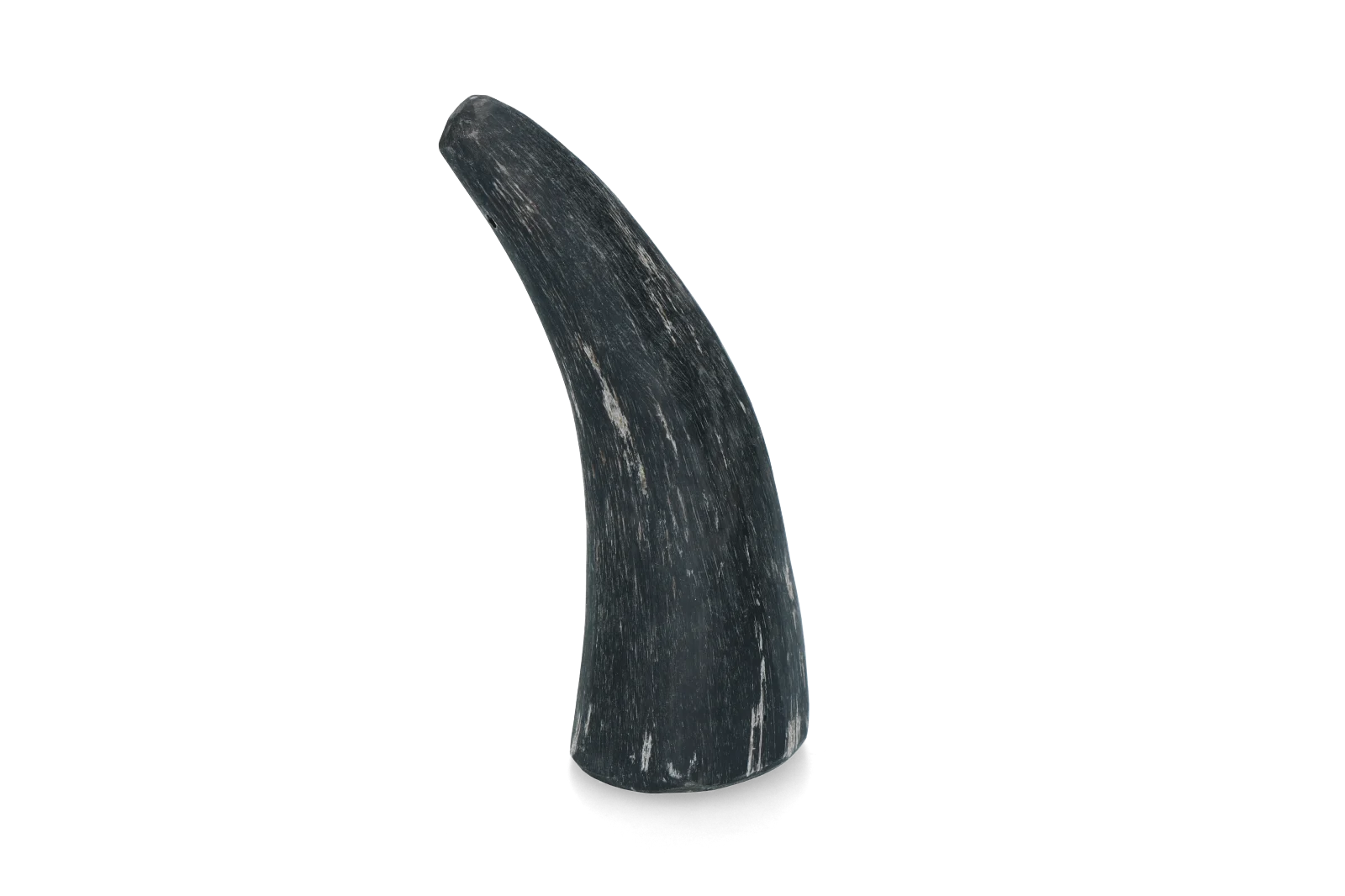 Róg wołowy do gryzienia dla psów o wadze od 1 do 4 kg – Viking Horn Whole S - obrazek 1