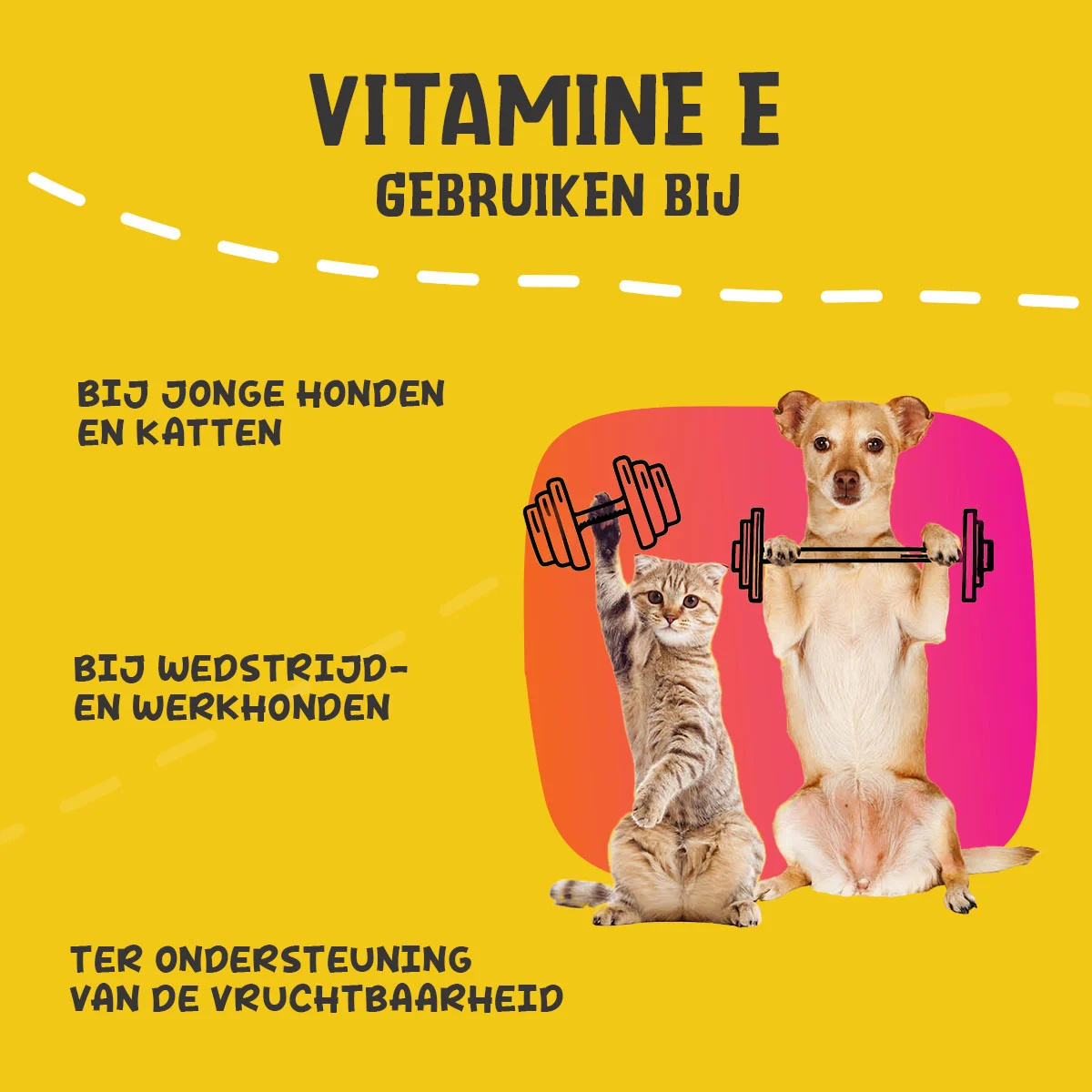 Suplement w proszku dla psów i kotów z witaminą E i selenem, 250 g – Excellent Pets Vitamin E+ - obrazek 6