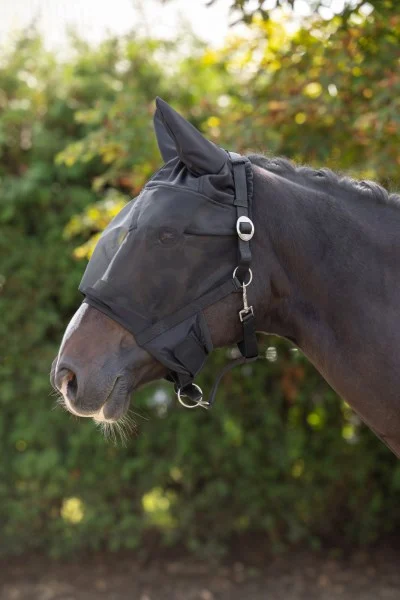 Kantar z wbudowaną maską przeciw muchom i ochroną uszu Pony - obrazek 3