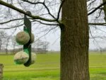 Wieszak na kule tłuszczowe dla sikor, 24,5 cm – Vplast - obrazek 6
