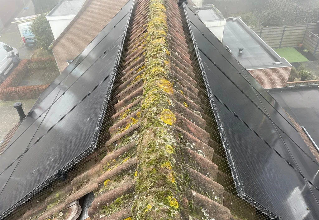 Kolce przeciw ptakom do paneli słonecznych, 50 cm, czarne - obrazek 2
