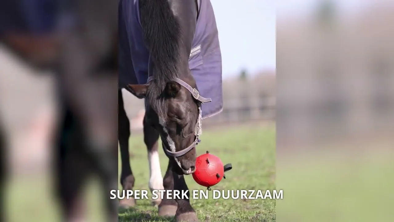 Piłka do zabawy dla konia z elastycznymi paskami, 19 cm, pomarańczowa – Excellent Horse Fun Play Ball - obrazek 3