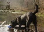 Pluszowa zabawka dla psa ze sznurem do przeciągania i piszczałką – Wild Life Collection Wild Life Dog Kaczka - obrazek 5