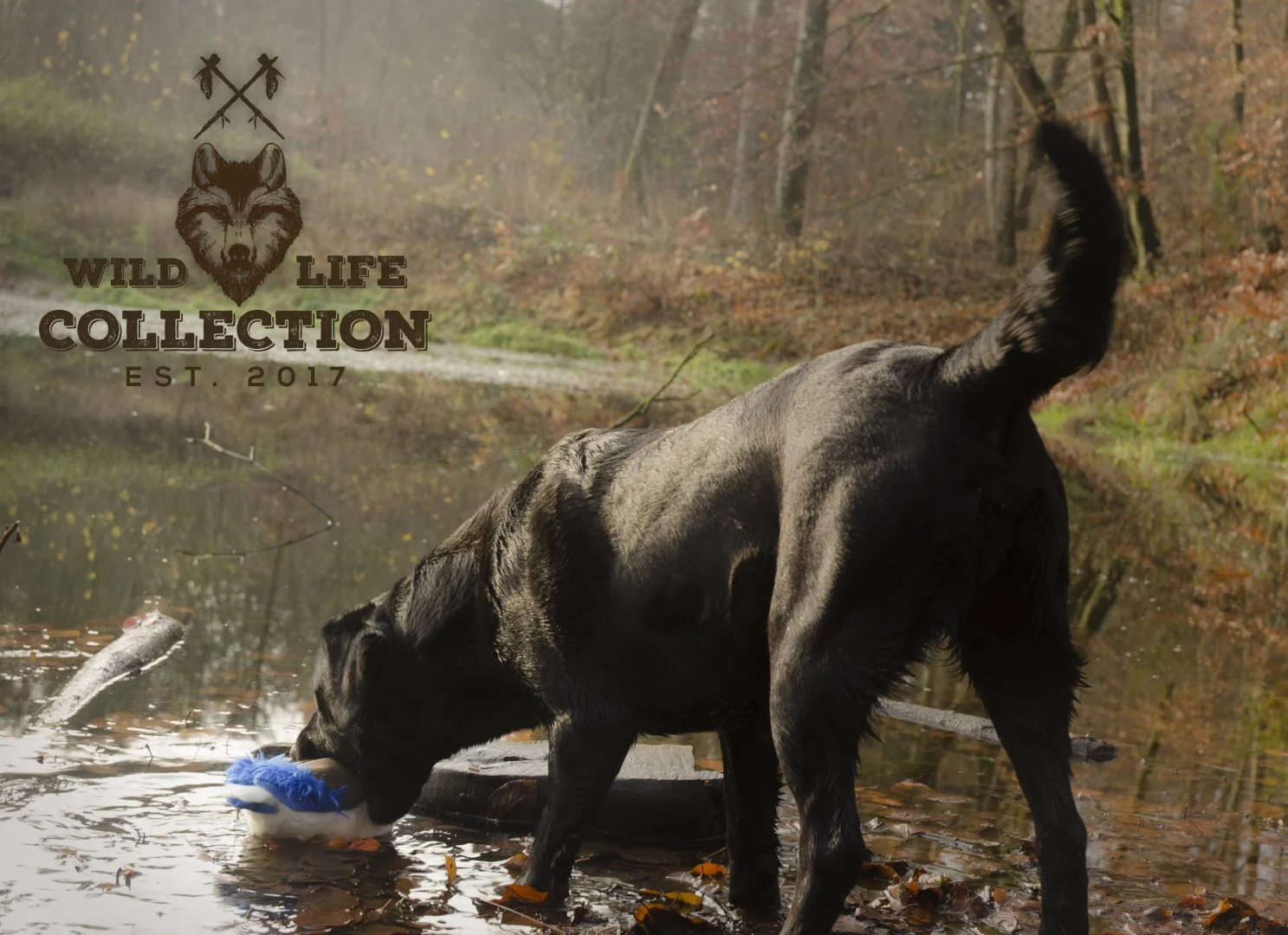 Pluszowa zabawka dla psa ze sznurem do przeciągania i piszczałką – Wild Life Collection Wild Life Dog Kaczka - obrazek 5