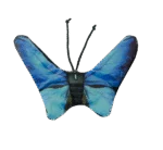 Motyl dla kota z kocimiętką – Wild Life Collection Cat Niebieski Motyl - obrazek 2