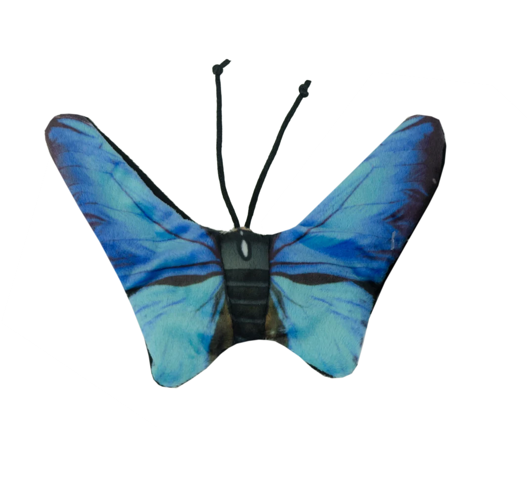 Motyl dla kota z kocimiętką – Wild Life Collection Cat Niebieski Motyl - obrazek 2