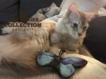 Motyl dla kota z kocimiętką – Wild Life Collection Cat Niebieski Motyl - obrazek 3