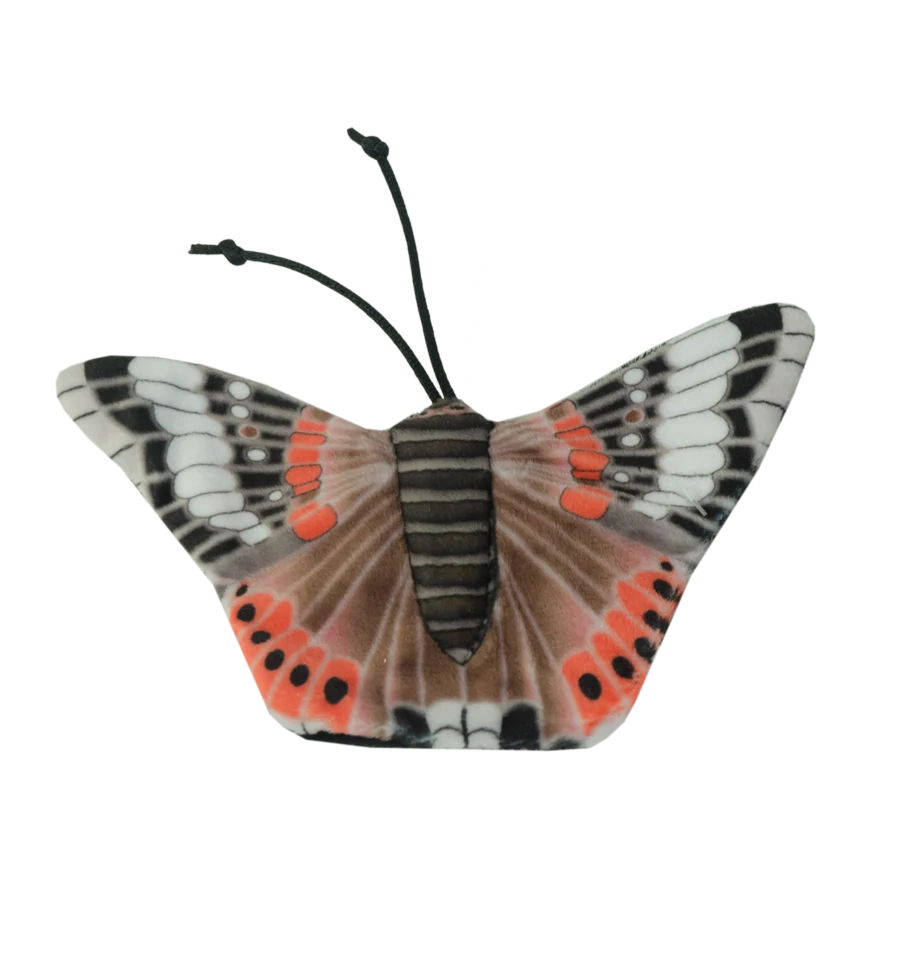 Motyl do zabawy dla kota z kocimiętką – Wild Life Collection Cat Rusałka admirał - obrazek 2