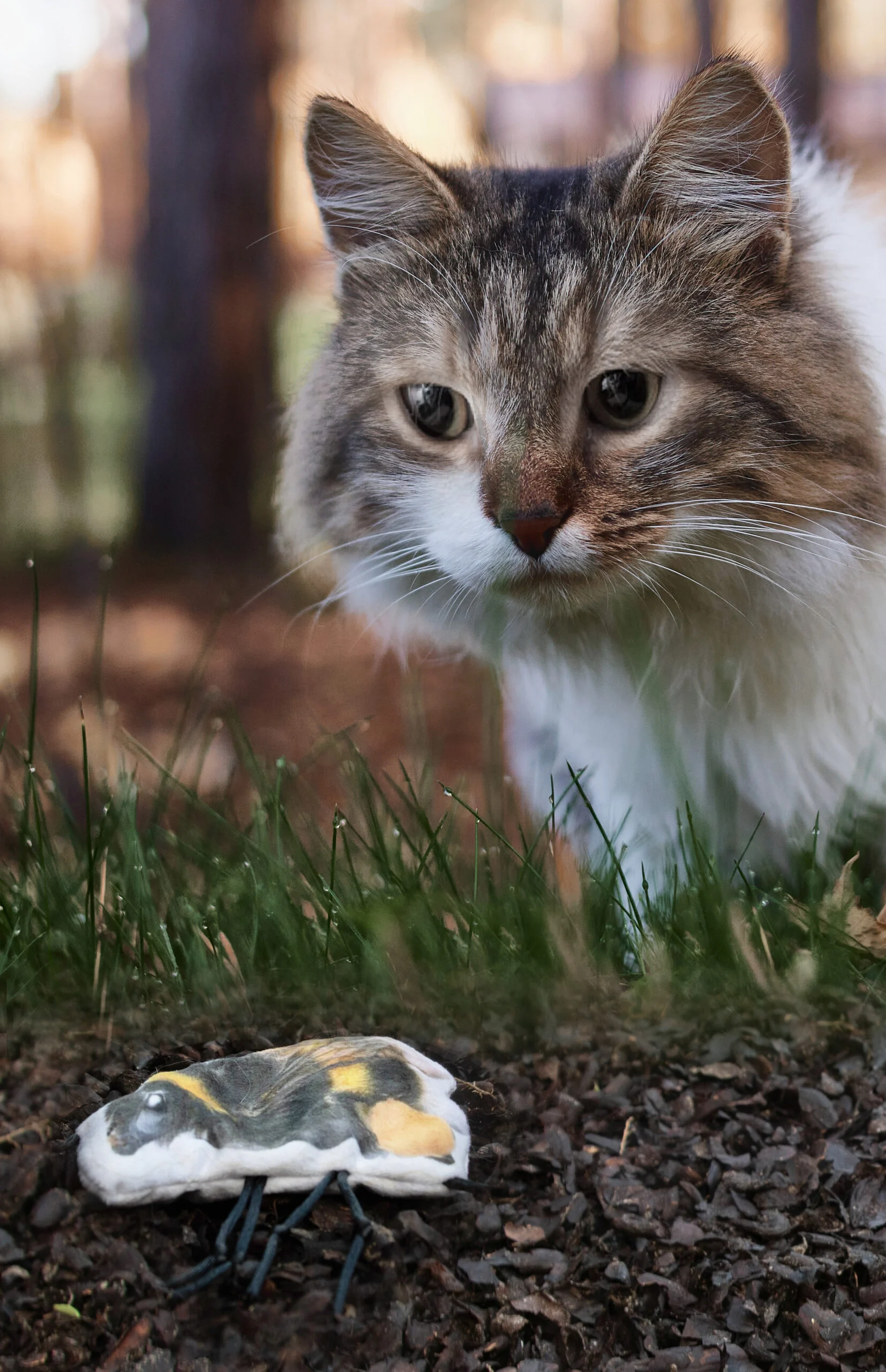 Zabawka dla kota w kształcie trzmiela z kocimiętką – Wild Life Collection Cat Hommel - obrazek 3