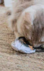 Zabawka dla kota w kształcie trzmiela z kocimiętką – Wild Life Collection Cat Hommel - obrazek 4
