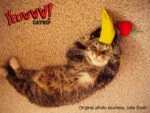 Zabawka dla kota w kształcie banana z kocimiętką, 17,7 cm – Yeowww! Chicata Banana - obrazek 4