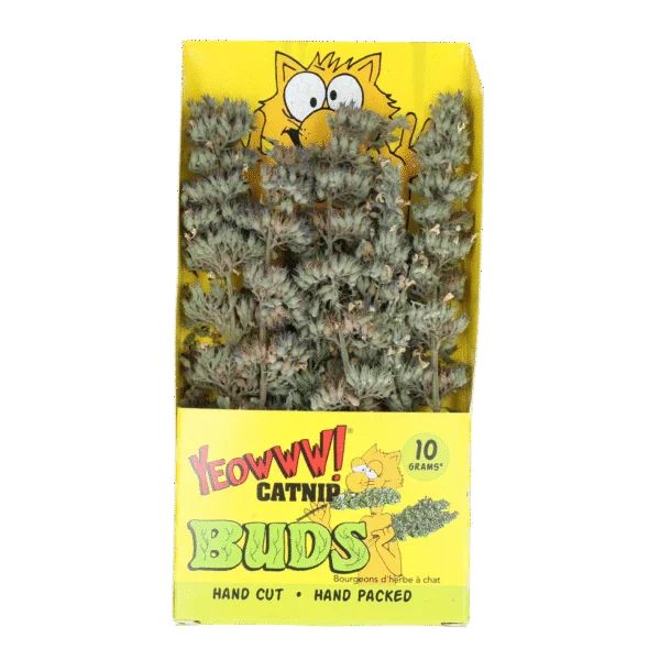 Gałązki kocimiętki 10 g w zamykanej torebce – Yeowww! Catnip Buds