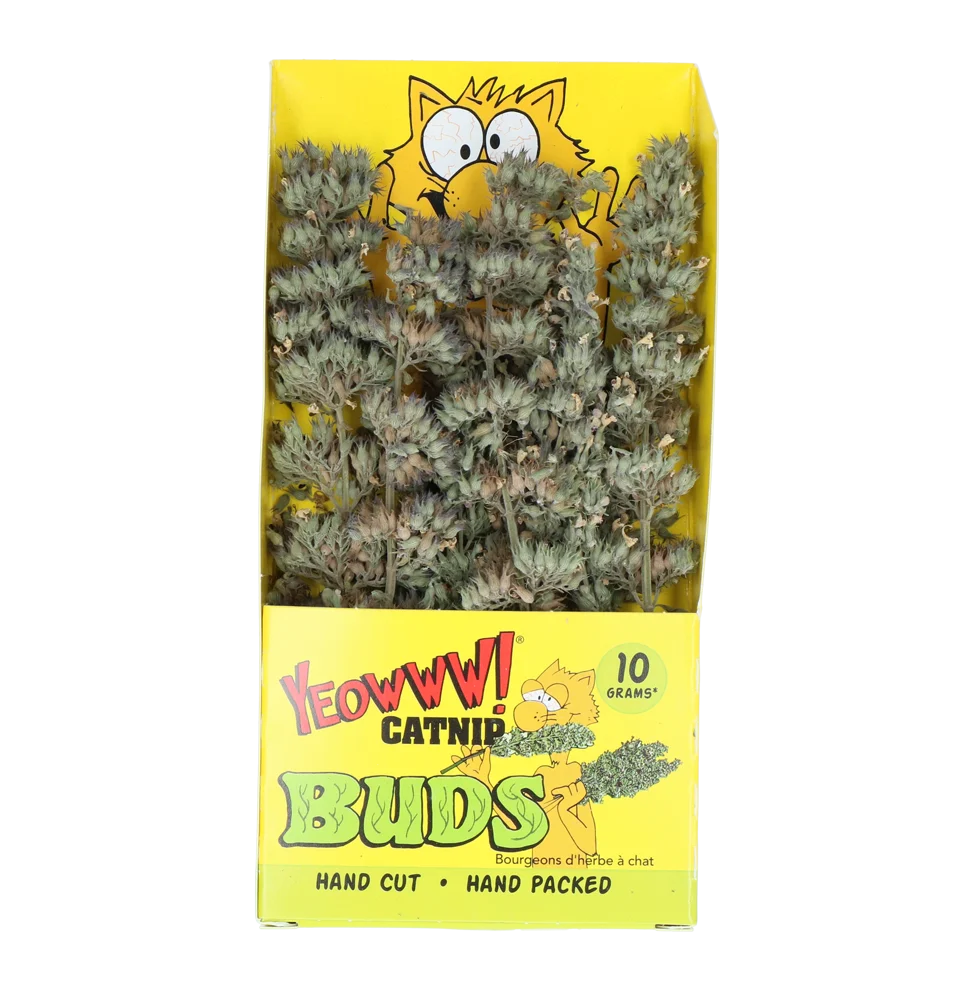 YEOW047.png Gałązki kocimiętki 10 g w zamykanej torebce – Yeowww! Catnip Buds - obrazek 1