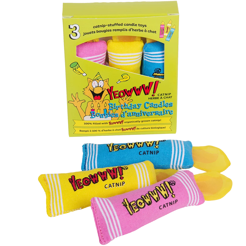 YEOW069.png Zabawki dla kota w kształcie urodzinowych świeczek z kocimiętką, 3 sztuki – Yeowww! Birthday Candles - obrazek 1