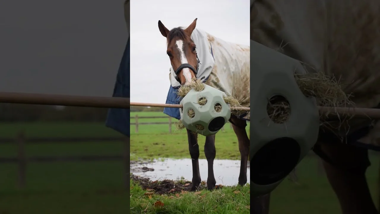 Piłka na paszę dla koni z otworami, zielona – Excellent Horse Feed & Play Ball - obrazek 2