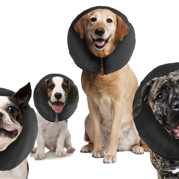 Kołnierz ochronny dla psów S, zmywalny, 15,2 do 22,9 cm – Zenpet ProCollar