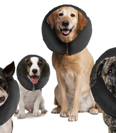 Kołnierz ochronny dla psów M, możliwość prania, 22,9–33 cm – Zenpet ProCollar