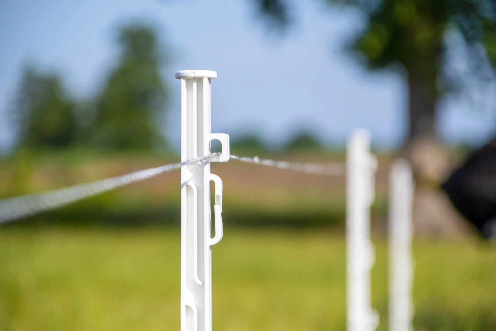 Drut do ogrodzenia elektrycznego 3 mm, biały z ciemnozielonym, 400 m – ZoneGuard Plus - obrazek 3