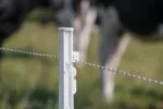 Drut do ogrodzenia elektrycznego 3 mm, biały z ciemnozielonym, 400 m – ZoneGuard Plus - obrazek 5