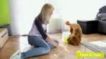 Zabawka dla psa z nagrodą i piłką tenisową – AFP Interactives Fetch'N'Treat Original - obrazek 3