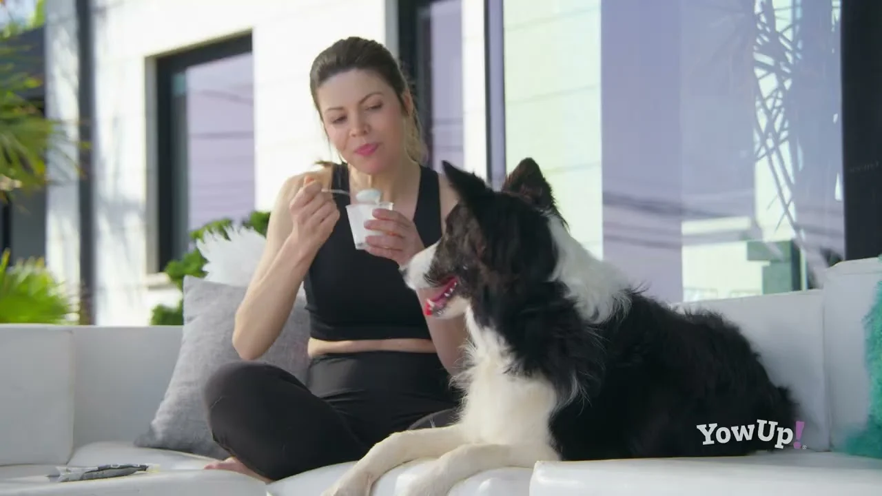 Jogurt dla psów z prebiotykami, bez laktozy – YowUp! Yogurt Dogs Prebiotics Natural - obrazek 3