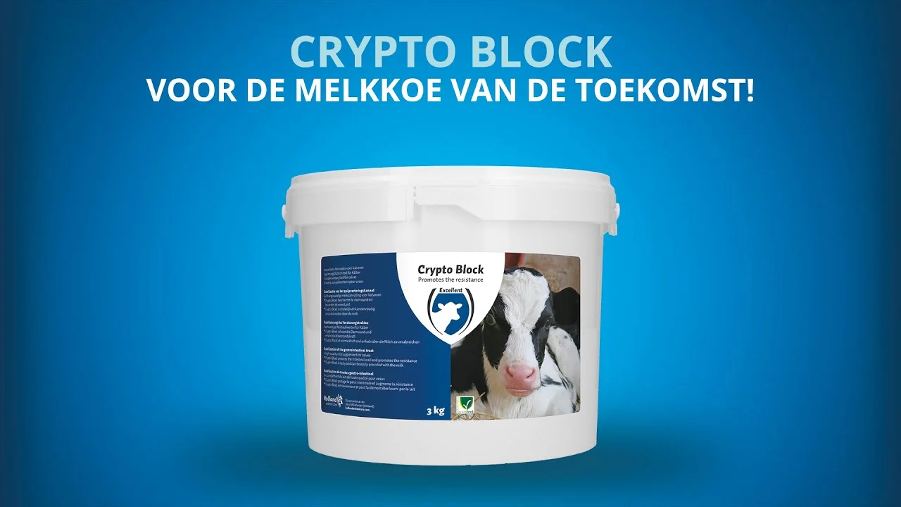 Suplement paszowy dla cieląt i jagniąt, 2,4 kg – Excellent Crypto Block - obrazek 2