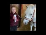 Spray ułatwiający rozczesywanie grzywy i ogona konia, 250 ml – Lucky Horse Unicorn Knuffel Spray - obrazek 2